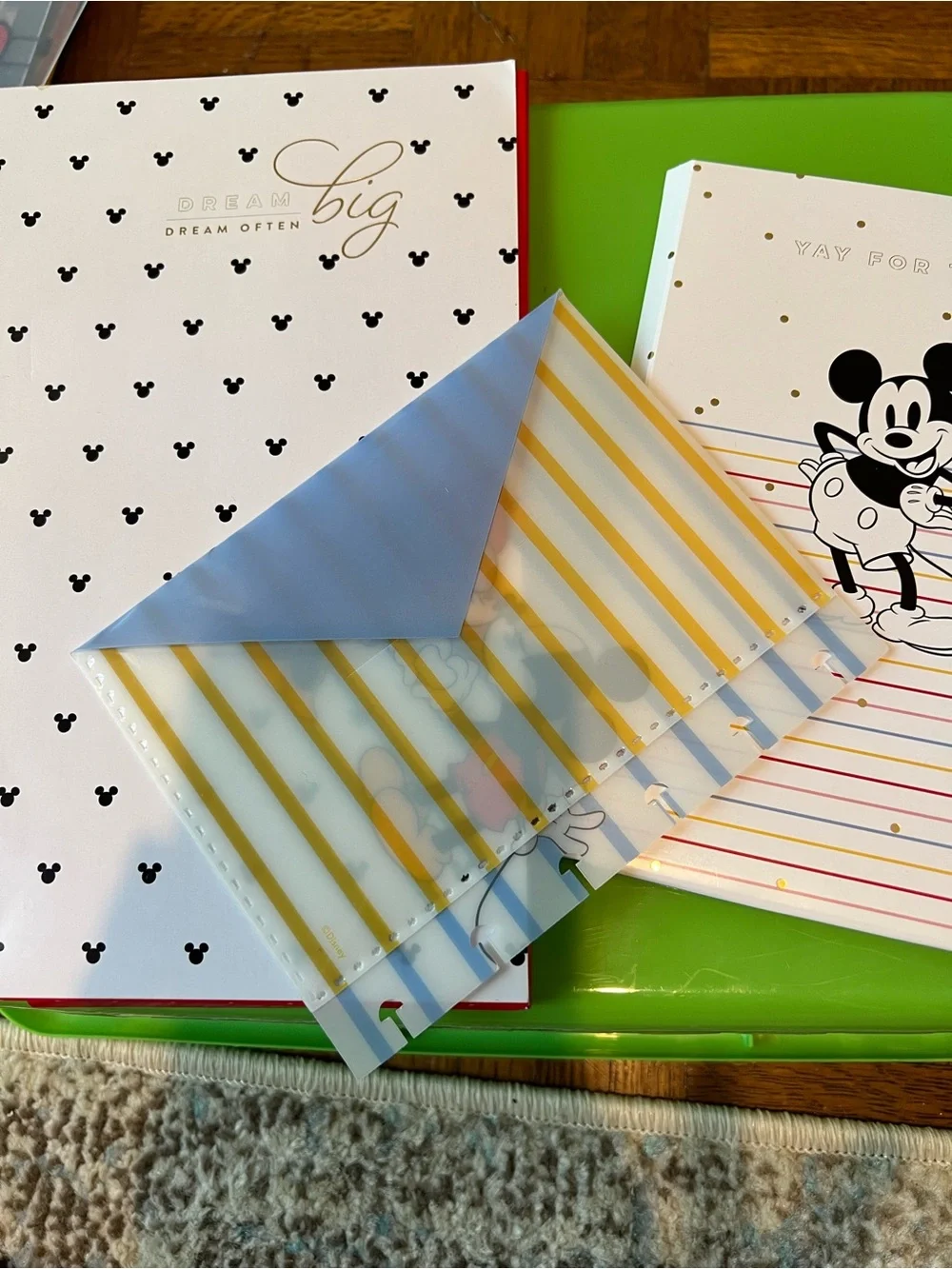 The Happy Planner Disney bundle